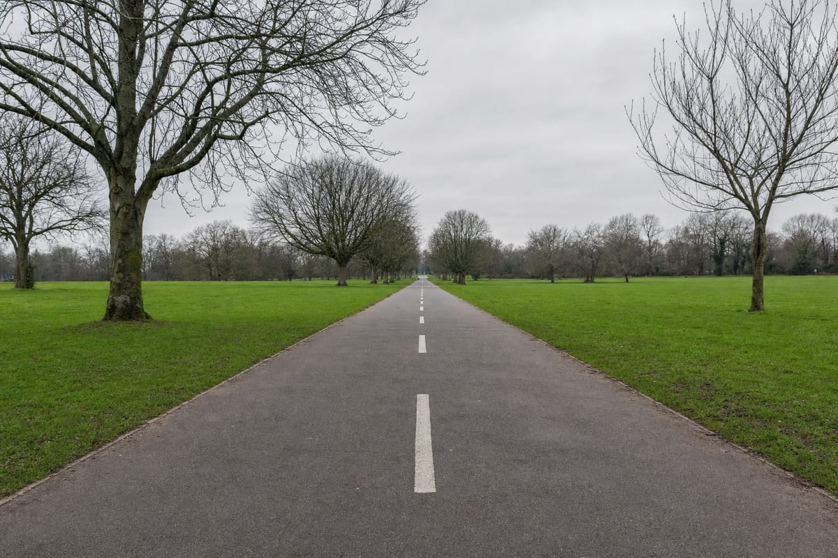 Leerer Zweirichtungsradweg mit Mittellinie, der bei bedecktem Himmel geradeaus durch einen Stadtpark führt