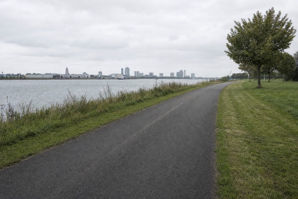 Breiter asphaltierter Radweg entlang eines Rheinufers an einem bedeckten Tag